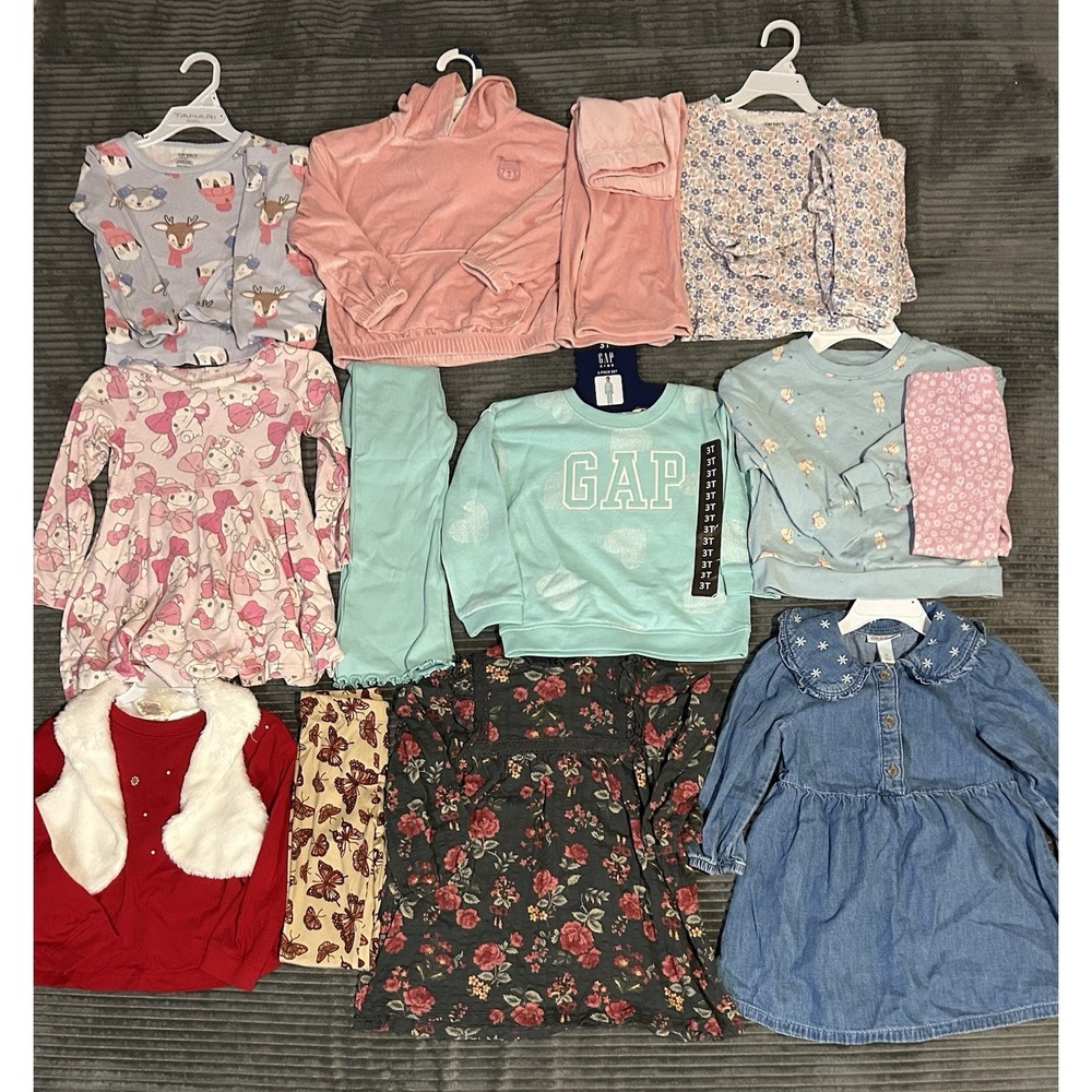 Huge Lot Girls Winter Clothes 3T New &EUC Dress Nike Gap Carters Pants Disney